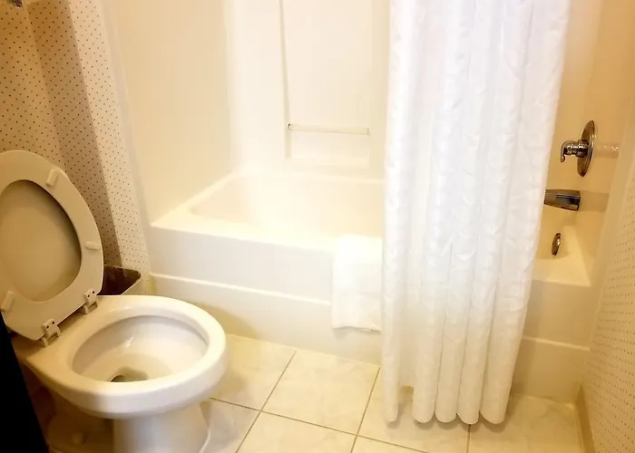 Rodeway Champaign Hotel 2*